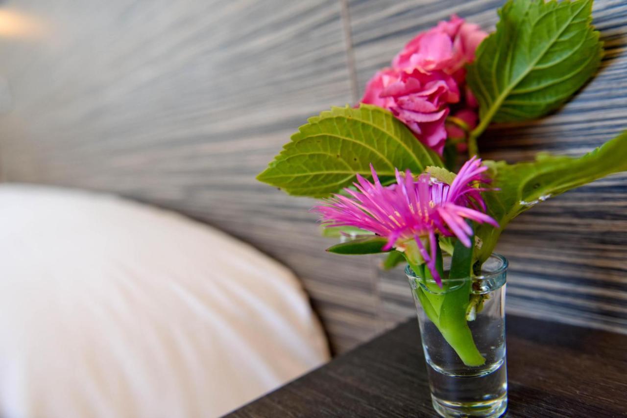 Logis Hotel De France Mimizan-Plage Ngoại thất bức ảnh